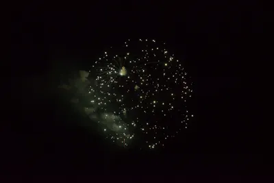 DSC_3384 (Large).JPG